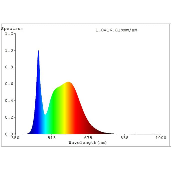 5W B22 White LED A60 Globe Bulbs