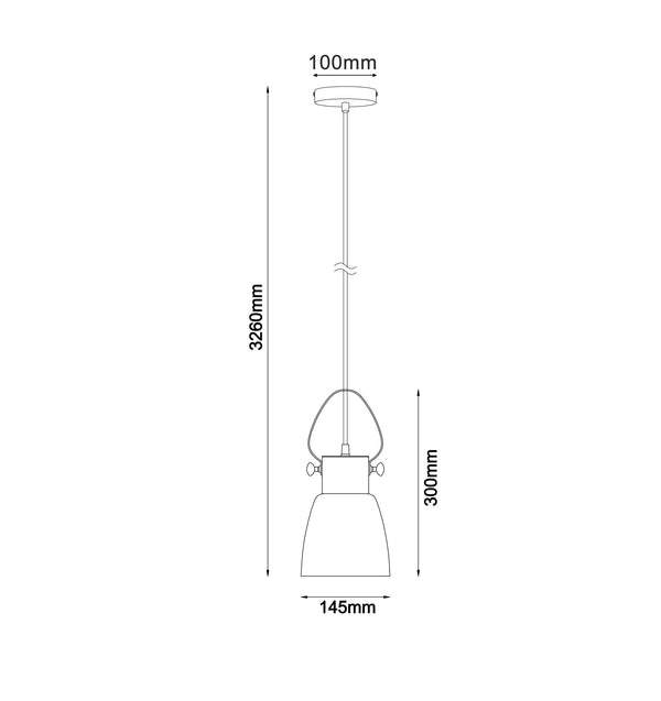 FUMOSO: Smokey Glass Ellipse Shape Pendant Light