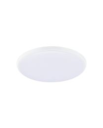 OLLIE CCT ceiling light