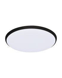 OLLIE CCT ceiling light