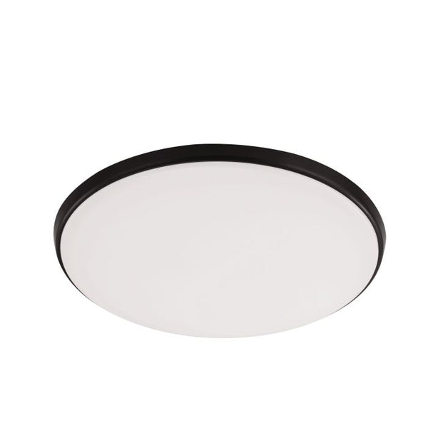 OLLIE CCT Ceiling Light