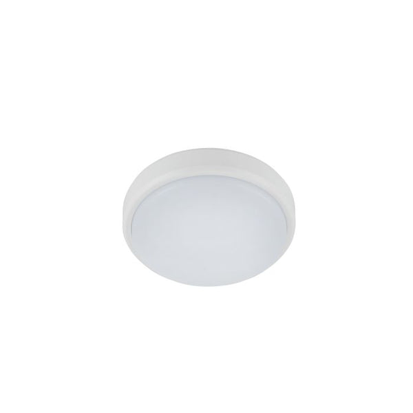 BURLEIGH wall/ceiling light