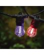 FESTOON 10 Light LED Kit Black & Multi Colour