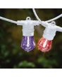 FESTOON 10 Light LED Kit White & Multi Colour