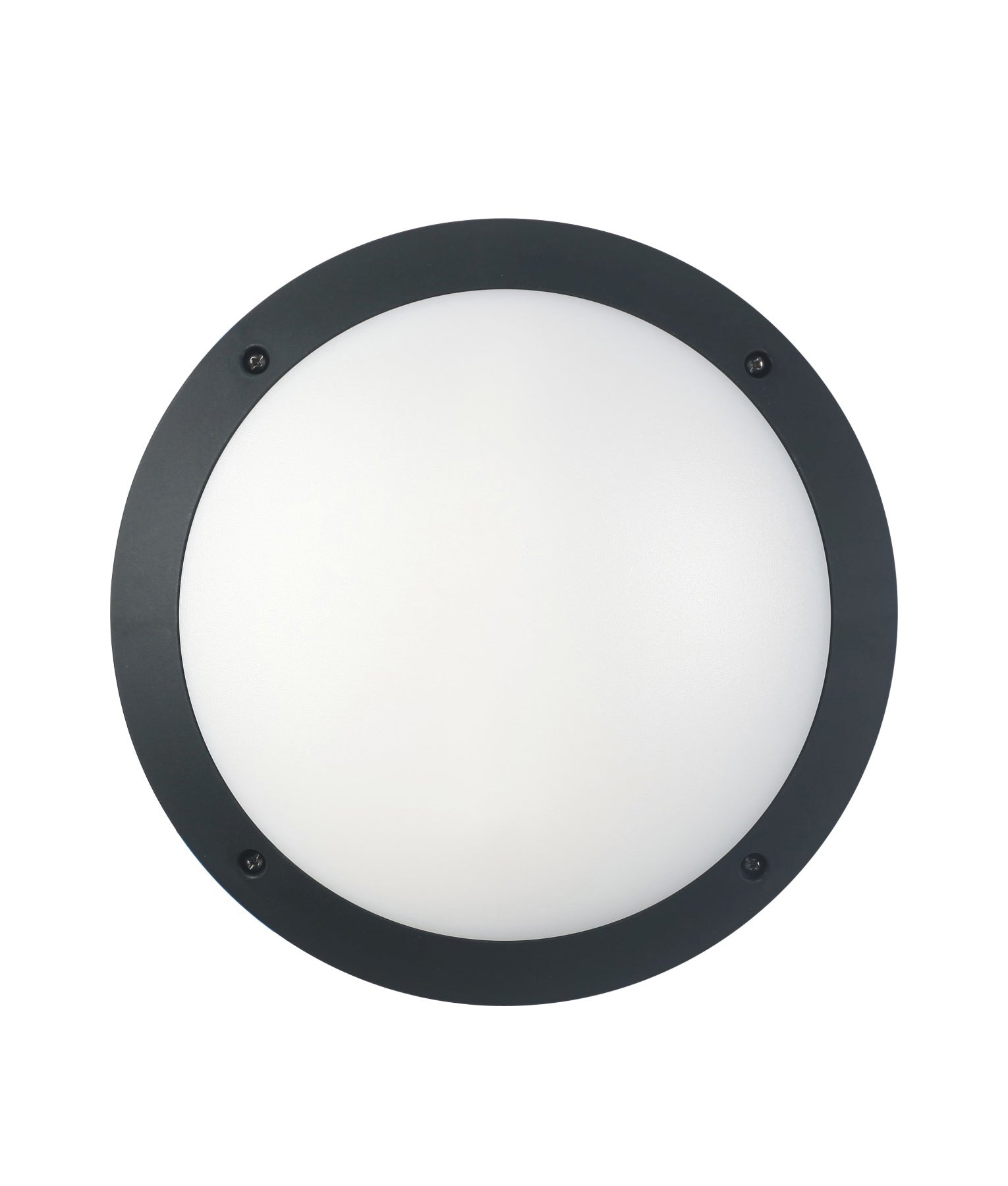 BULK Exterior Bulkhead LED Lights