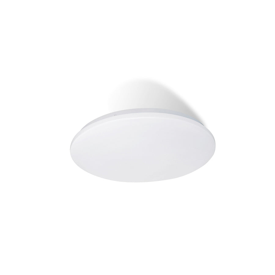 CASSIA 12W OYSTER