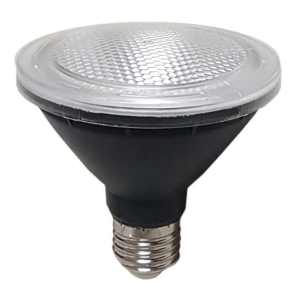E27 10W PAR30 LED GLOBE NON-DIM