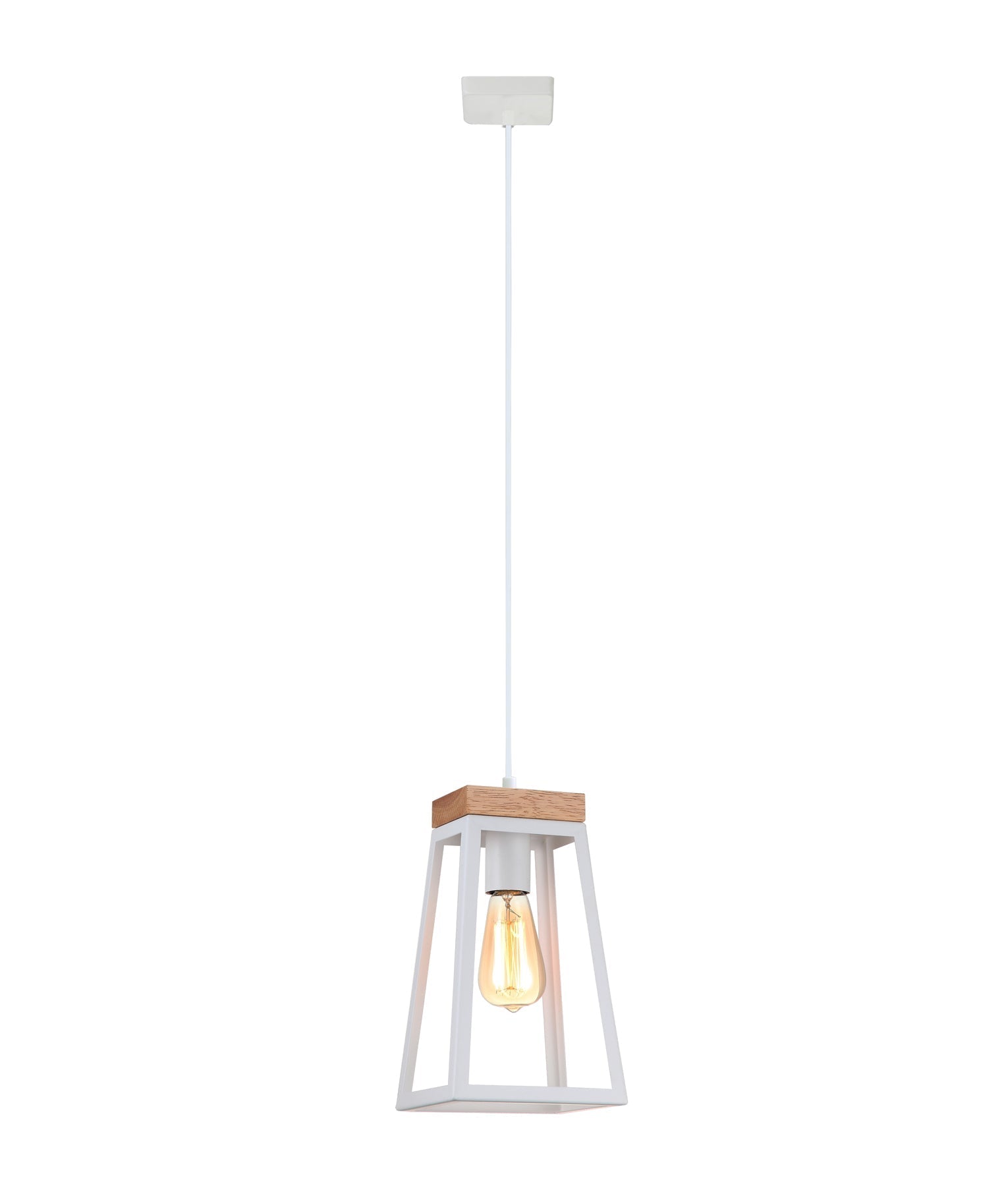 LANTERNA Interior single pendant light