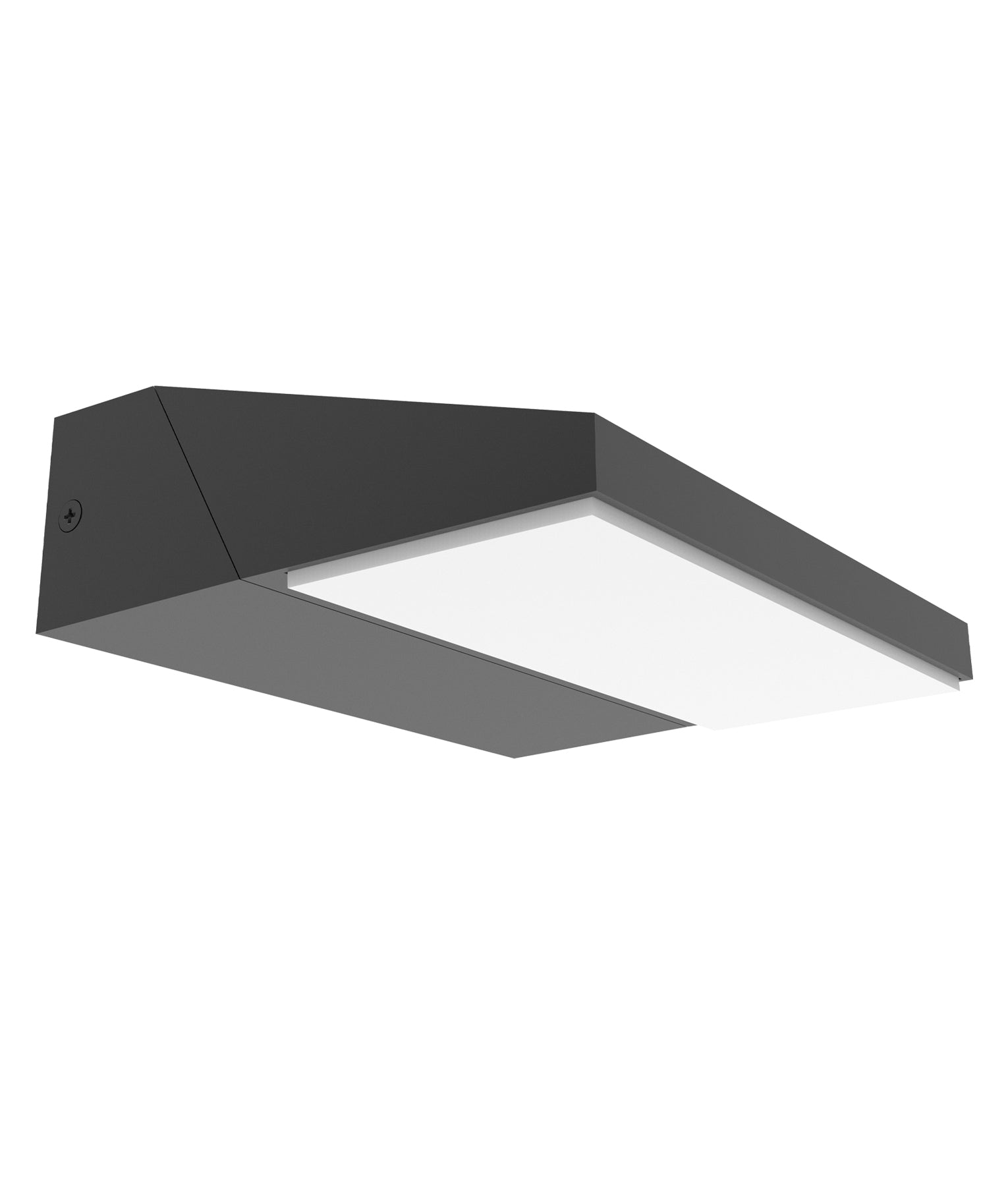 PLANA Exterior LED adjustable surface mounted wall lights
