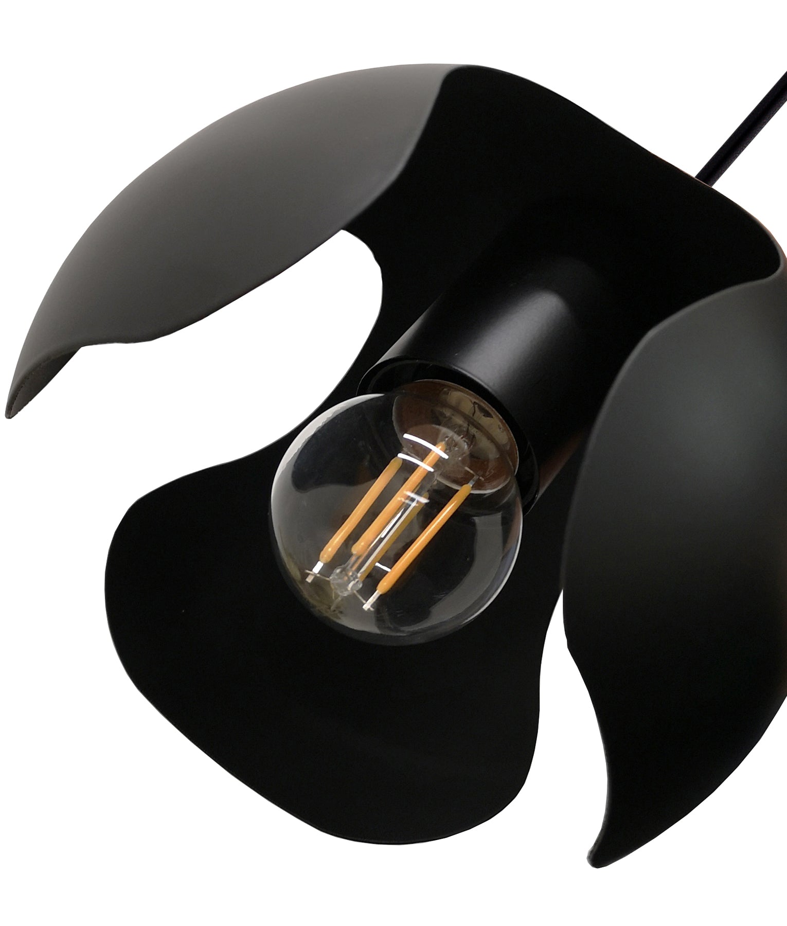 VAINA Modern Lights