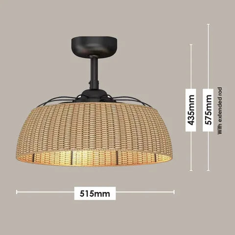 Harlow Light Fan