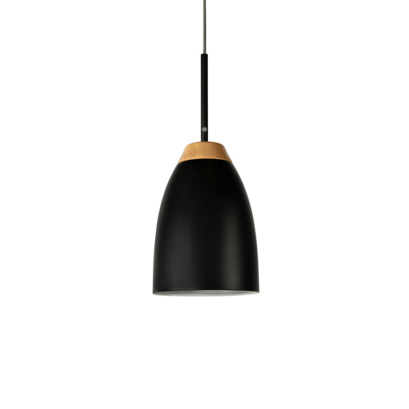 WATCHMAN 1 PENDANT